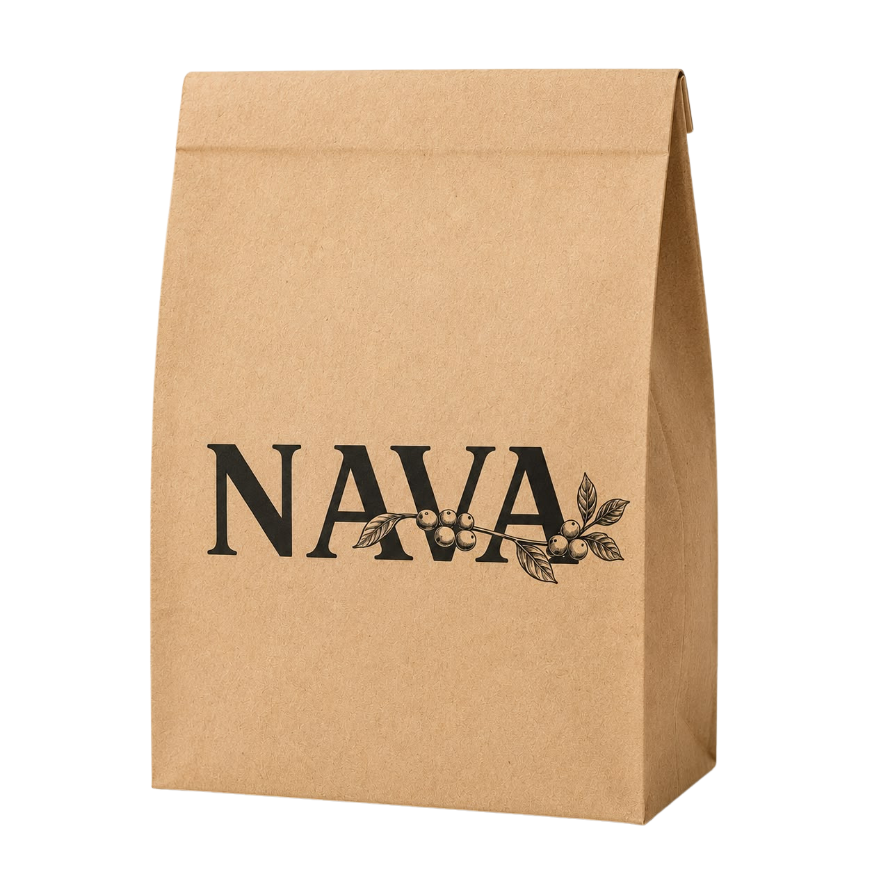 NAVA 2.500 g